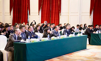 爱游戏体育集团党委&ldquo;书记带项目&rdquo;工作阶段性进展汇报会成功召开